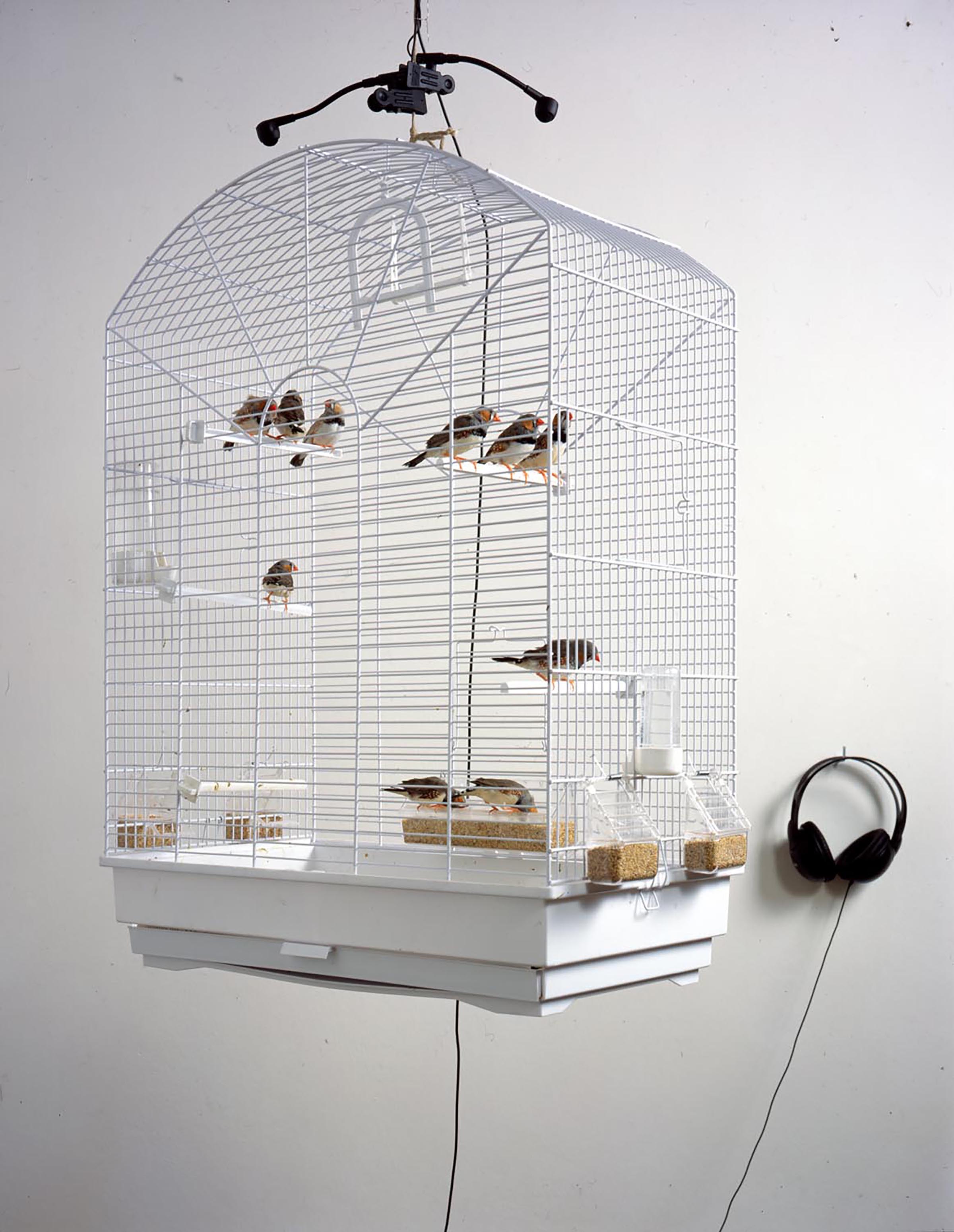 Bruna Esposito, Sereno-variabile, 2002 (detail)
